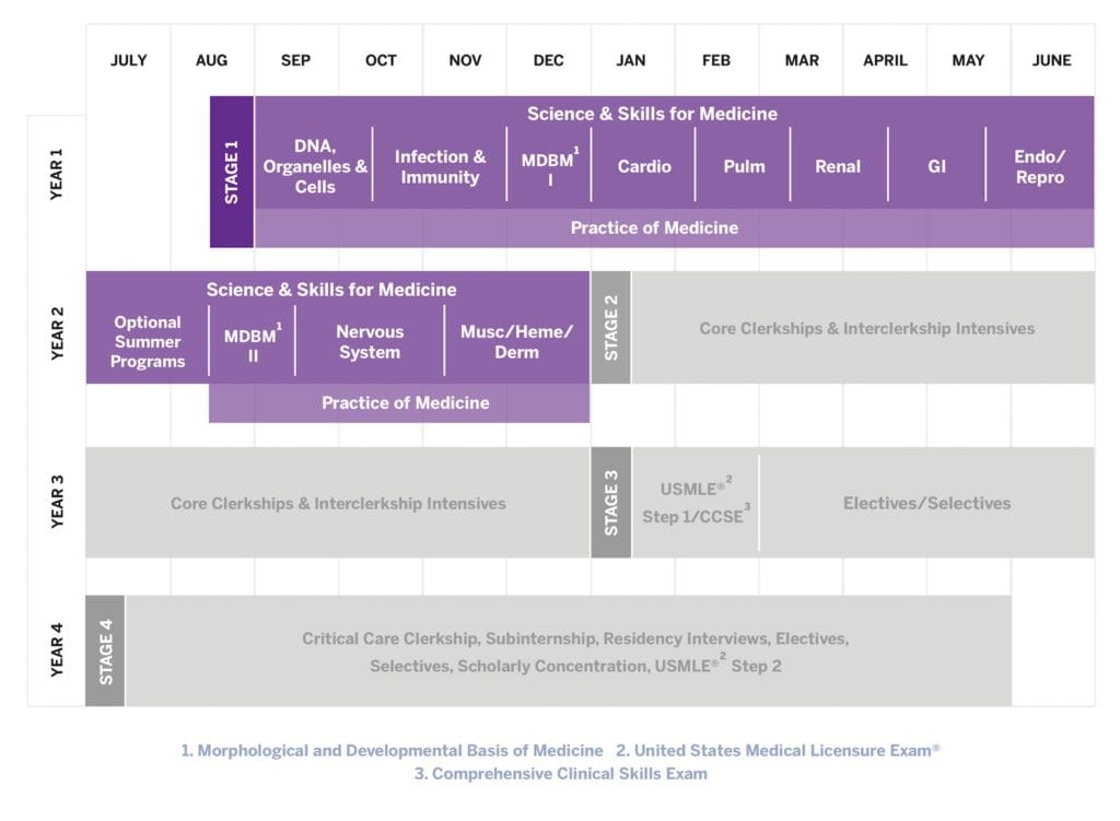 NYU School of Medicine curriculum