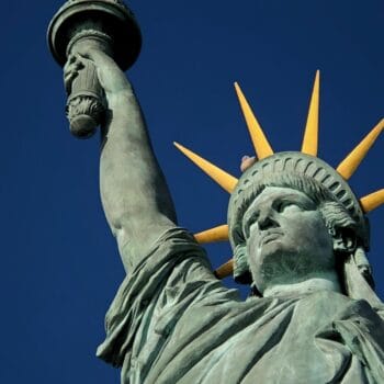 Medcal Schools in New York