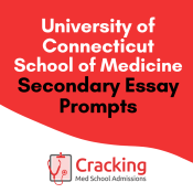 UConn Secondary Application Essay Prompts